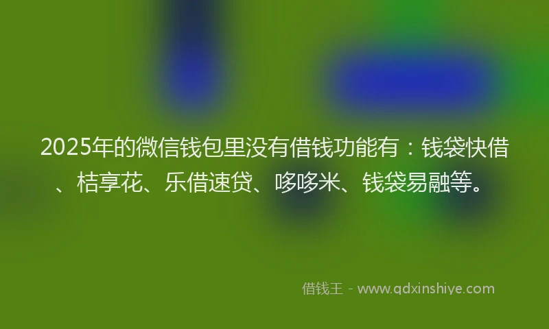 2025年的微信钱包里没有借钱功能有：钱袋快借、桔享花、乐借速贷、哆哆米、钱袋易融等。