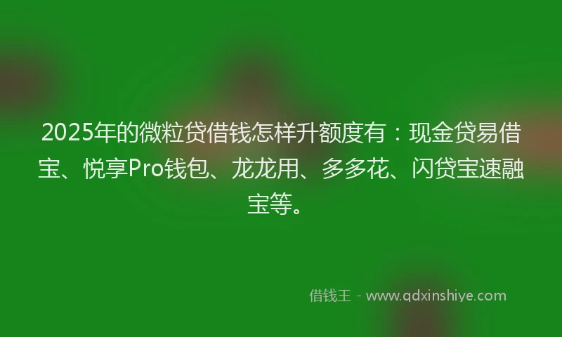 2025年的微粒贷借钱怎样升额度有：现金贷易借宝、悦享Pro钱包、龙龙用、多多花、闪贷宝速融宝等。