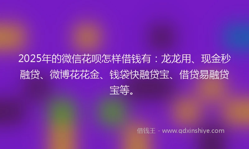 2025年的微信花呗怎样借钱有：龙龙用、现金秒融贷、微博花花金、钱袋快融贷宝、借贷易融贷宝等。