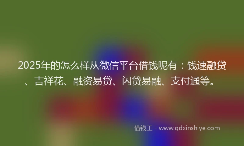 2025年的怎么样从微信平台借钱呢有：钱速融贷、吉祥花、融资易贷、闪贷易融、支付通等。