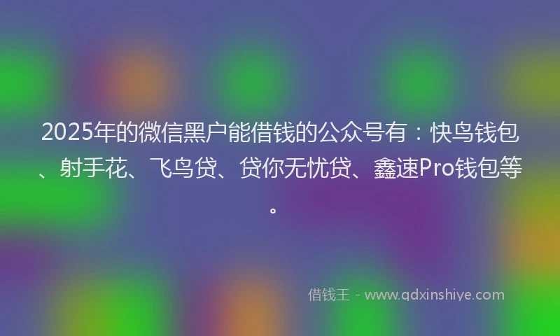 2025年的微信黑户能借钱的公众号有：快鸟钱包、射手花、飞鸟贷、贷你无忧贷、鑫速Pro钱包等。