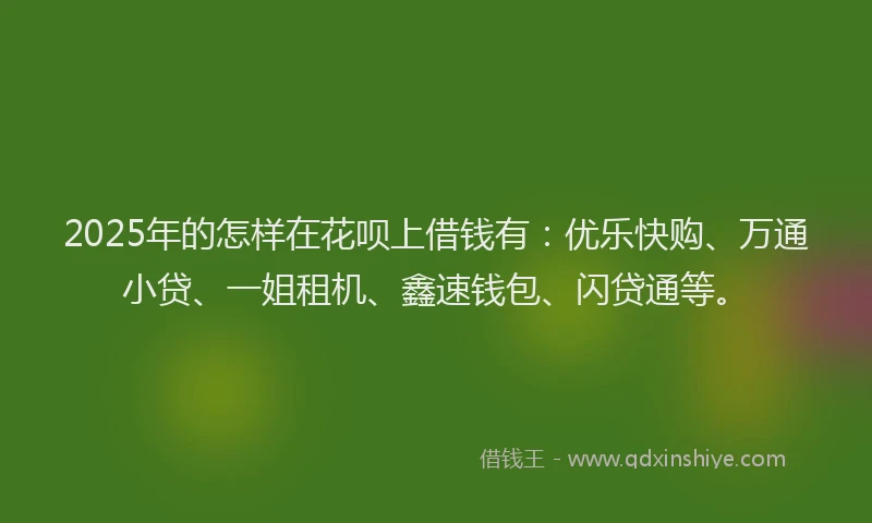 2025年的怎样在花呗上借钱有：优乐快购、万通小贷、一姐租机、鑫速钱包、闪贷通等。