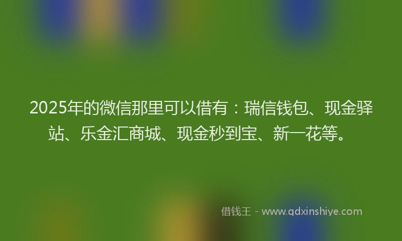 2025年的微信那里可以借有：瑞信钱包、现金驿站、乐金汇商城、现金秒到宝、新一花等。