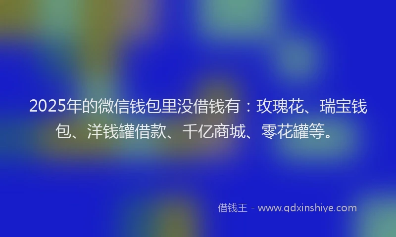 2025年的微信钱包里没借钱有：玫瑰花、瑞宝钱包、洋钱罐借款、千亿商城、零花罐等。