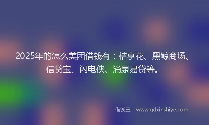 2025年的怎么美团借钱有：桔享花、黑鲸商场、信贷宝、闪电侠、涌泉易贷等。