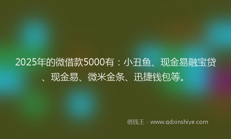 2025年的微借款5000有：小丑鱼、现金易融宝贷、现金易、微米金条、迅捷钱包等。