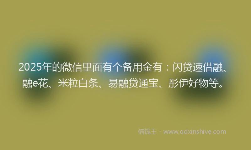 2025年的微信里面有个备用金有：闪贷速借融、融e花、米粒白条、易融贷通宝、彤伊好物等。