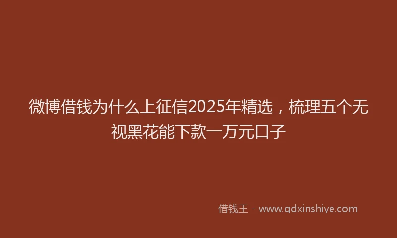 微博借钱为什么上征信2025年精选，梳理五个无视黑花能下款一万元口子