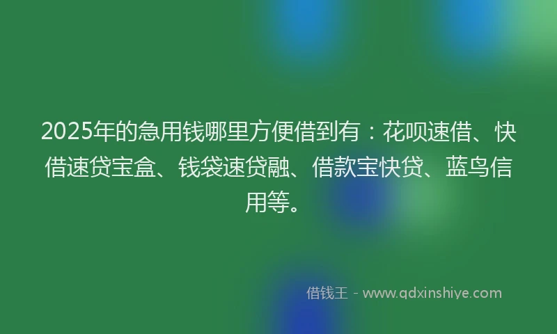 2025年的急用钱哪里方便借到有：花呗速借、快借速贷宝盒、钱袋速贷融、借款宝快贷、蓝鸟信用等。