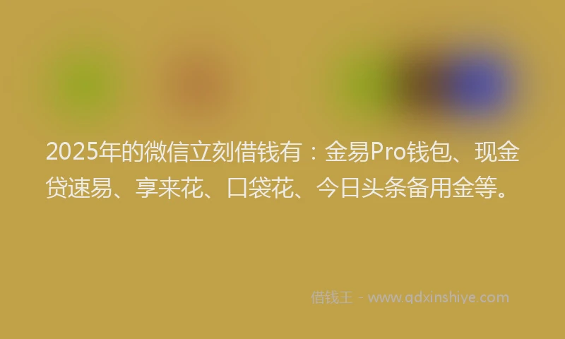 2025年的微信立刻借钱有：金易Pro钱包、现金贷速易、享来花、口袋花、今日头条备用金等。