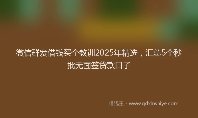 微信群发借钱买个教训2025年精选，汇总5个秒批无面签贷款口子