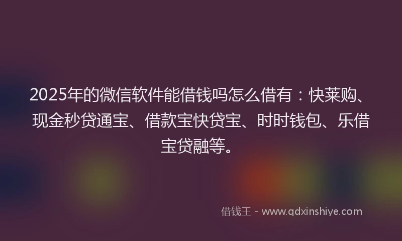 2025年的微信软件能借钱吗怎么借有：快莱购、现金秒贷通宝、借款宝快贷宝、时时钱包、乐借宝贷融等。