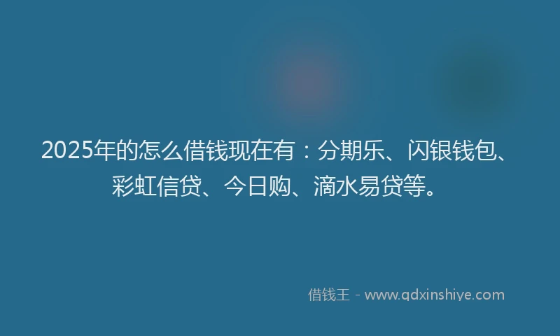 2025年的怎么借钱现在有：分期乐、闪银钱包、彩虹信贷、今日购、滴水易贷等。