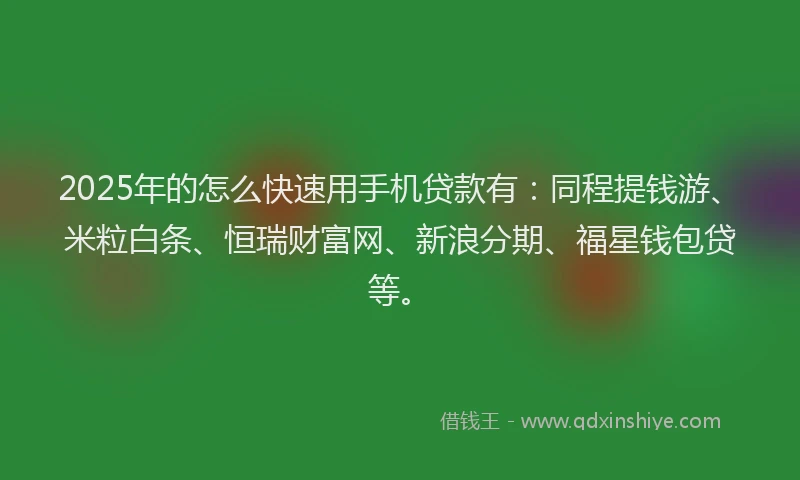 2025年的怎么快速用手机贷款有：同程提钱游、米粒白条、恒瑞财富网、新浪分期、福星钱包贷等。