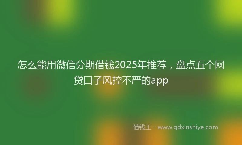怎么能用微信分期借钱2025年推荐，盘点五个网贷口子风控不严的app