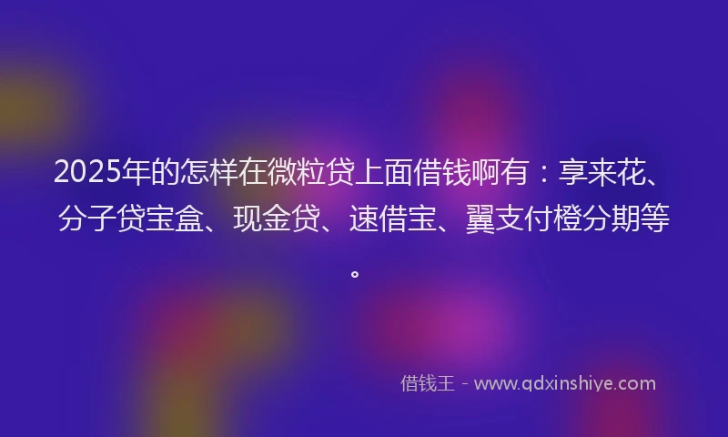 2025年的怎样在微粒贷上面借钱啊有：享来花、分子贷宝盒、现金贷、速借宝、翼支付橙分期等。