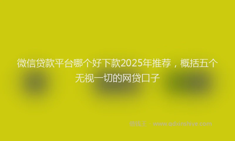 微信贷款平台哪个好下款2025年推荐，概括五个无视一切的网贷口子