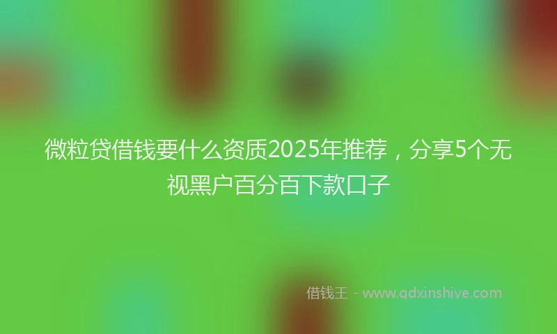 微粒贷借钱要什么资质2025年推荐，分享5个无视黑户百分百下款口子