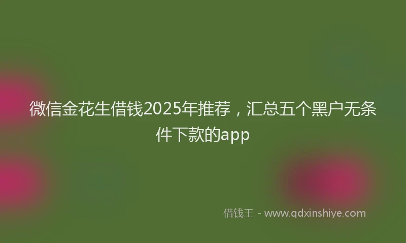微信金花生借钱2025年推荐，汇总五个黑户无条件下款的app