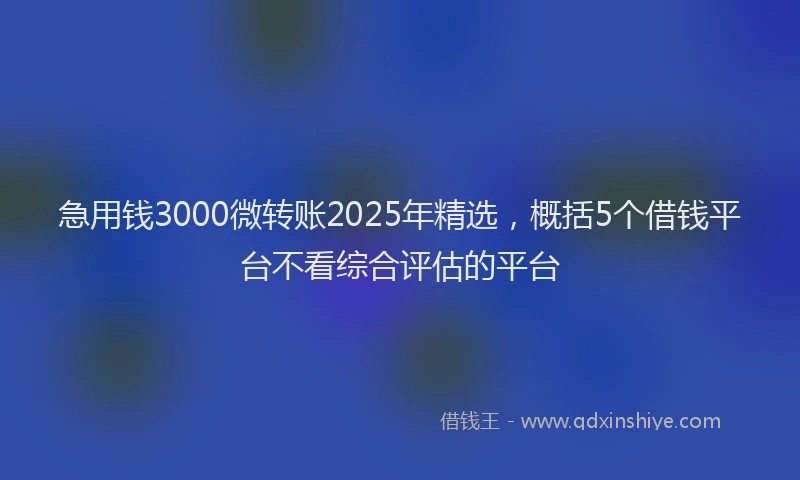 急用钱3000微转账2025年精选，概括5个借钱平台不看综合评估的平台