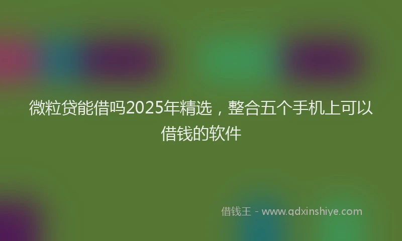 微粒贷能借吗2025年精选，整合五个手机上可以借钱的软件