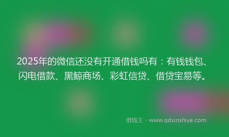 2025年的微信还没有开通借钱吗有：有钱钱包、闪电借款、黑鲸商场、彩虹信贷、借贷宝易等。