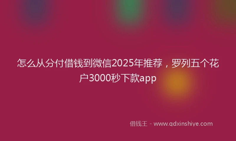怎么从分付借钱到微信2025年推荐，罗列五个花户3000秒下款app