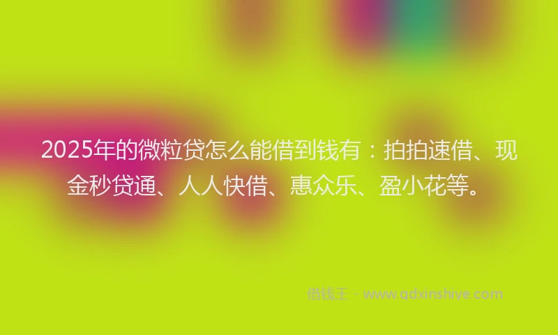 2025年的微粒贷怎么能借到钱有：拍拍速借、现金秒贷通、人人快借、惠众乐、盈小花等。