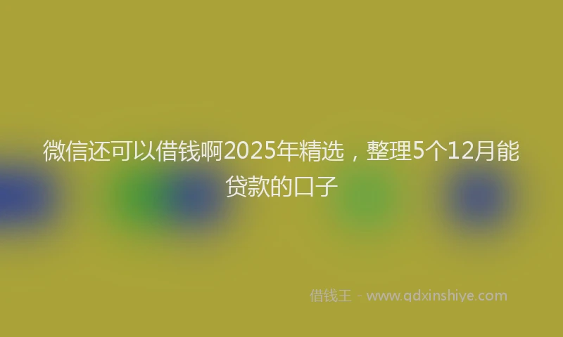 微信还可以借钱啊2025年精选，整理5个12月能贷款的口子