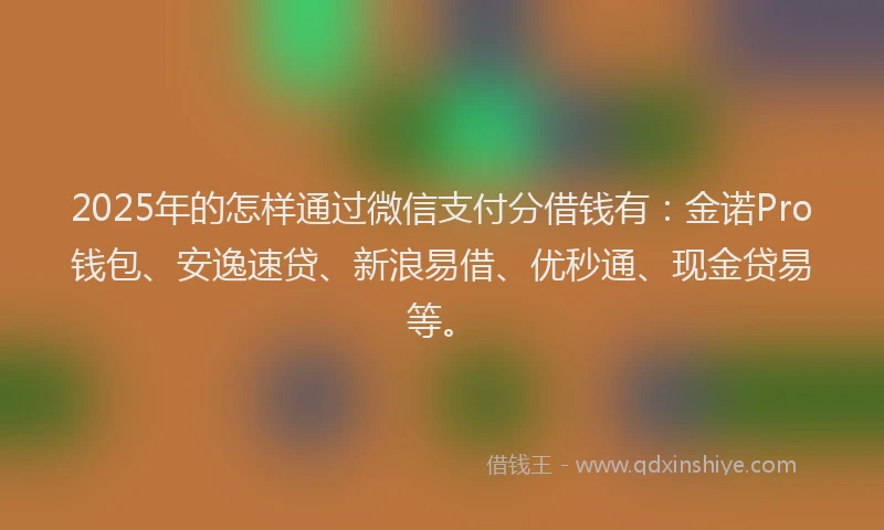2025年的怎样通过微信支付分借钱有：金诺Pro钱包、安逸速贷、新浪易借、优秒通、现金贷易等。