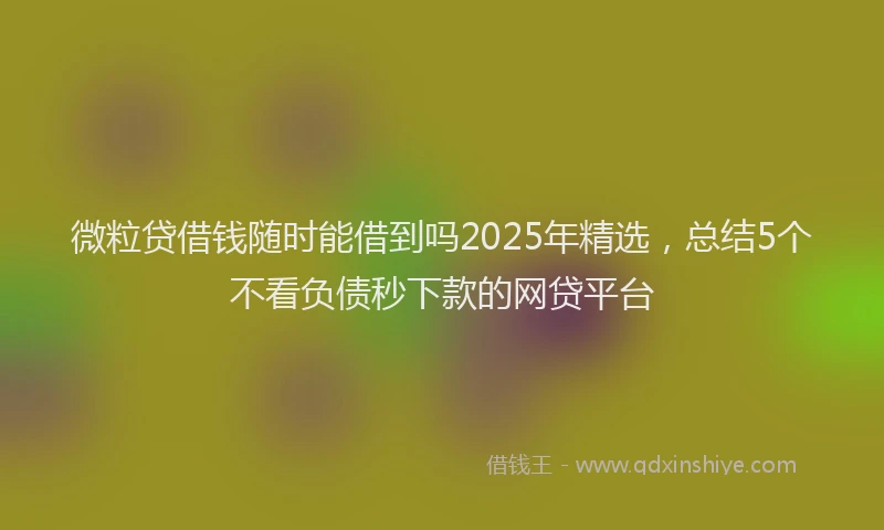 微粒贷借钱随时能借到吗2025年精选，总结5个不看负债秒下款的网贷平台
