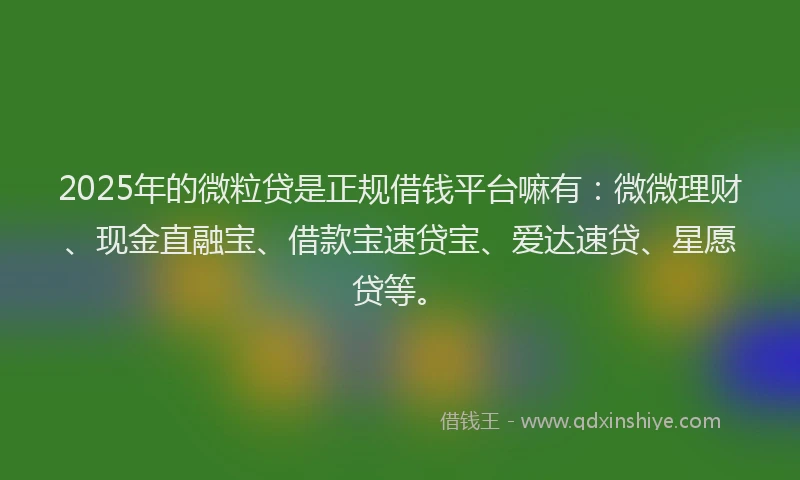 2025年的微粒贷是正规借钱平台嘛有：微微理财、现金直融宝、借款宝速贷宝、爱达速贷、星愿贷等。