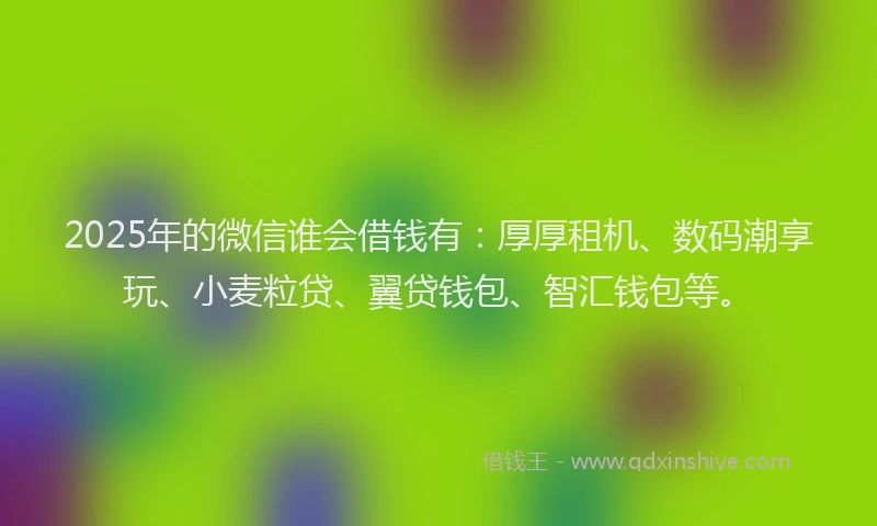 2025年的微信谁会借钱有：厚厚租机、数码潮享玩、小麦粒贷、翼贷钱包、智汇钱包等。