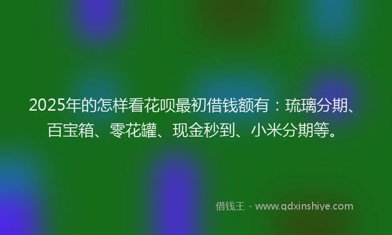 2025年的怎样看花呗最初借钱额有：琉璃分期、百宝箱、零花罐、现金秒到、小米分期等。