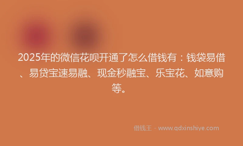 2025年的微信花呗开通了怎么借钱有：钱袋易借、易贷宝速易融、现金秒融宝、乐宝花、如意购等。