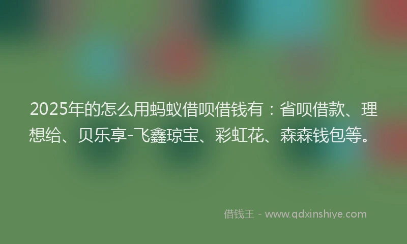 2025年的怎么用蚂蚁借呗借钱有：省呗借款、理想给、贝乐享-飞鑫琼宝、彩虹花、森森钱包等。