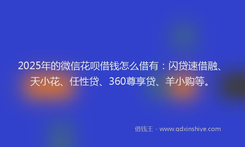 2025年的微信花呗借钱怎么借有：闪贷速借融、天小花、任性贷、360尊享贷、羊小购等。
