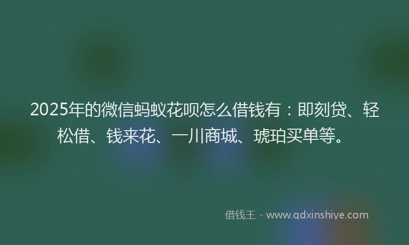 2025年的微信蚂蚁花呗怎么借钱有：即刻贷、轻松借、钱来花、一川商城、琥珀买单等。