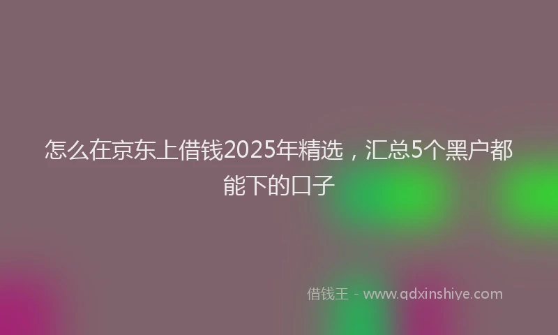 怎么在京东上借钱2025年精选，汇总5个黑户都能下的口子