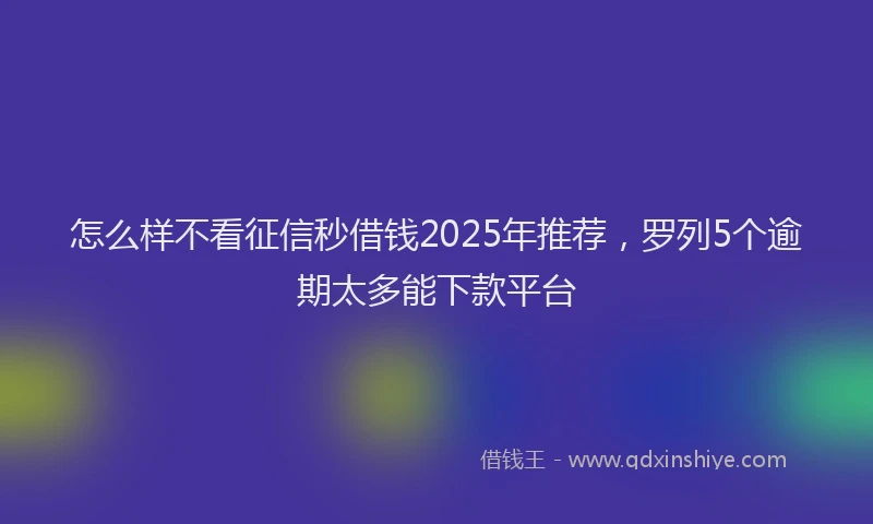 怎么样不看征信秒借钱2025年推荐，罗列5个逾期太多能下款平台
