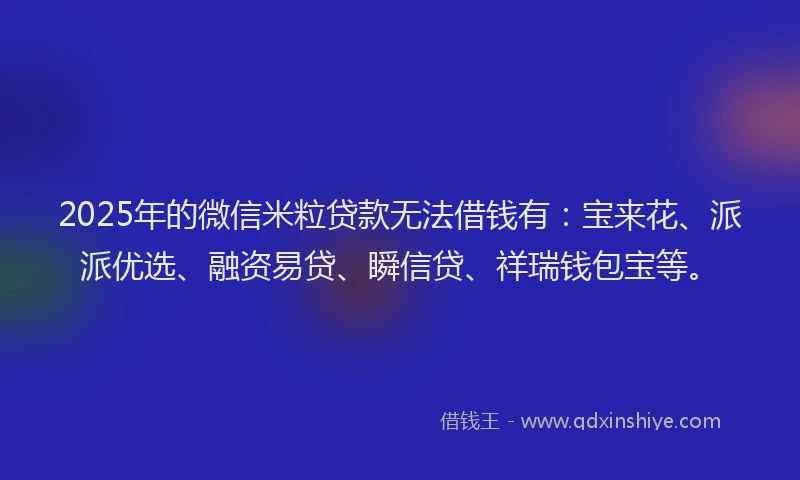 2025年的微信米粒贷款无法借钱有：宝来花、派派优选、融资易贷、瞬信贷、祥瑞钱包宝等。