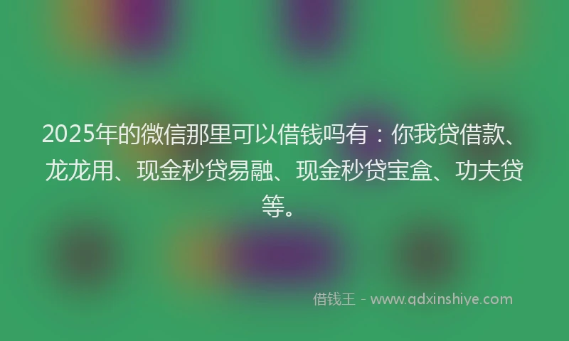 2025年的微信那里可以借钱吗有：你我贷借款、龙龙用、现金秒贷易融、现金秒贷宝盒、功夫贷等。
