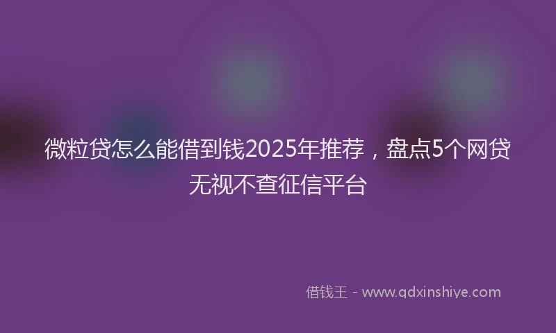 微粒贷怎么能借到钱2025年推荐，盘点5个网贷无视不查征信平台