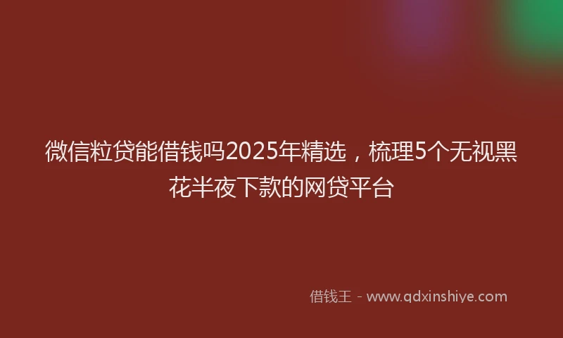 微信粒贷能借钱吗2025年精选，梳理5个无视黑花半夜下款的网贷平台