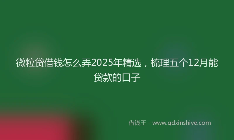 微粒贷借钱怎么弄2025年精选，梳理五个12月能贷款的口子