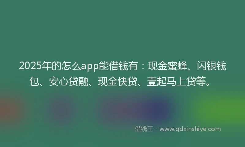 2025年的怎么app能借钱有：现金蜜蜂、闪银钱包、安心贷融、现金快贷、壹起马上贷等。