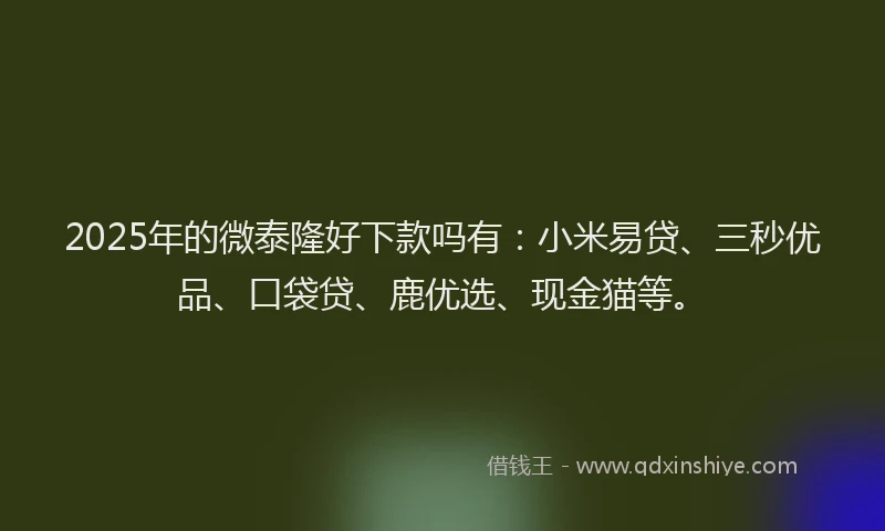 2025年的微泰隆好下款吗有：小米易贷、三秒优品、口袋贷、鹿优选、现金猫等。