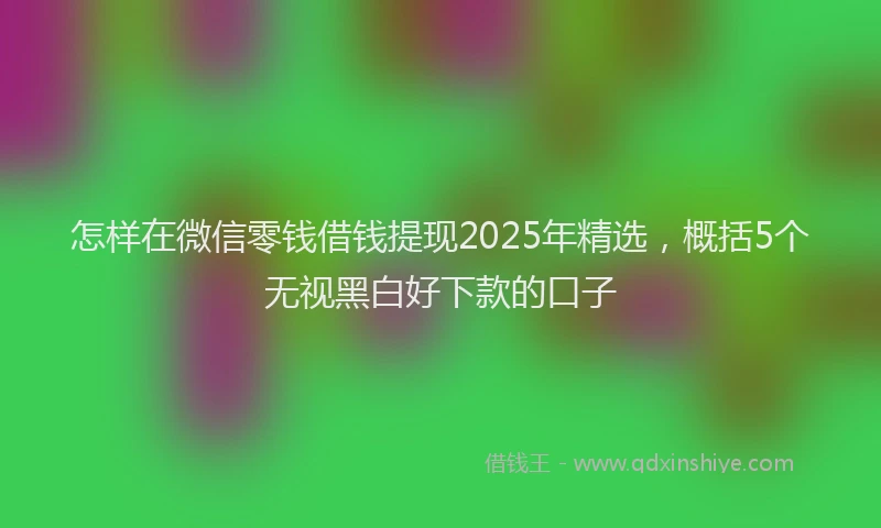 怎样在微信零钱借钱提现2025年精选，概括5个无视黑白好下款的口子