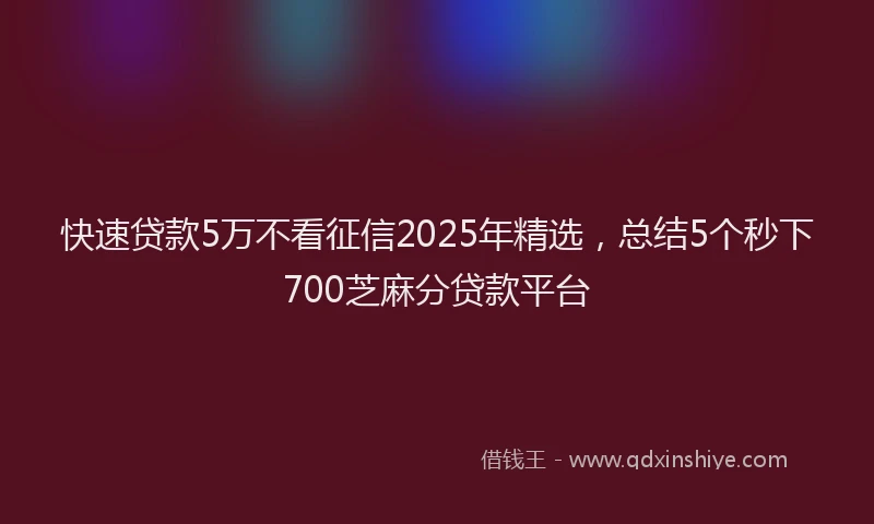 快速贷款5万不看征信2025年精选，总结5个秒下700芝麻分贷款平台