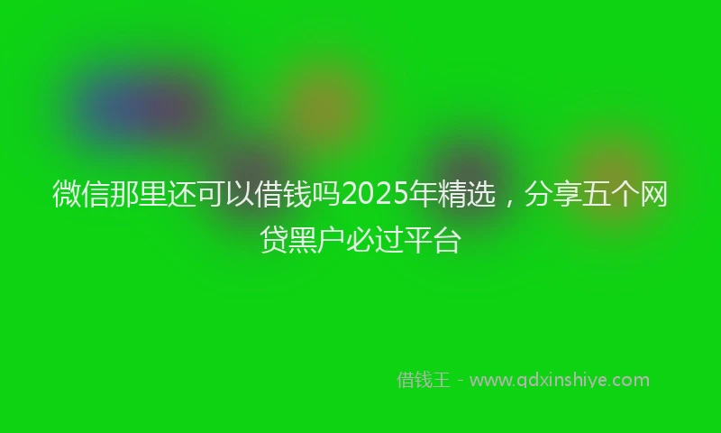 微信那里还可以借钱吗2025年精选，分享五个网贷黑户必过平台